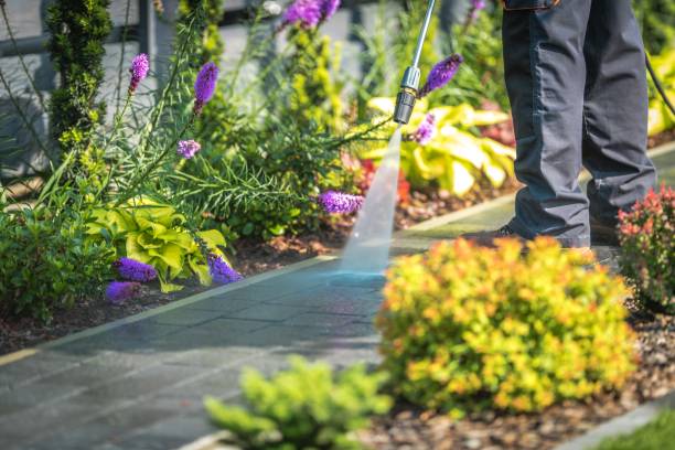 Professional Pressure Washing in Nappanee, IN
